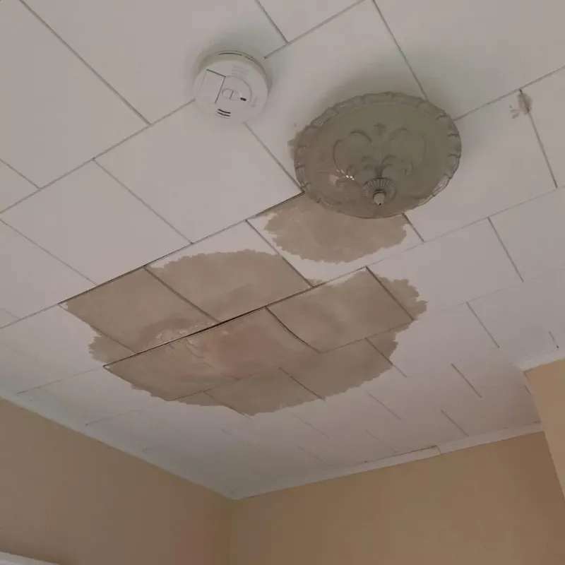 Ceiling Water Damage Repair in Concord, CA